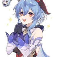 Y/N