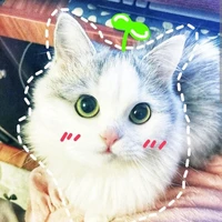 dudu