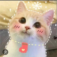ngáo
