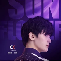 Giản Dương-Sunflower_Jungle