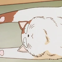 buyo