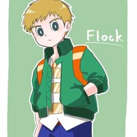 Flock (Egima)