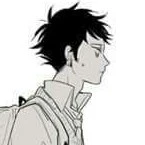 Trafalgar Law