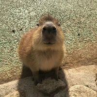 tác giả cutii 🐧