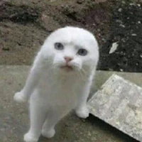 Tác giả =))