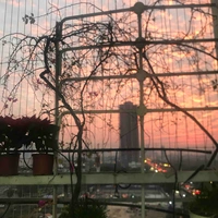 Nhân vật phụ