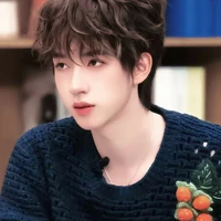 Hạ Tuấn Lâm