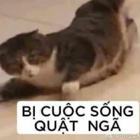 nhân vật phụ