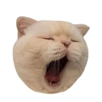 nhỏ tác giả ✨