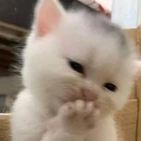 Tác Giả