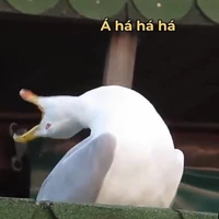 User07