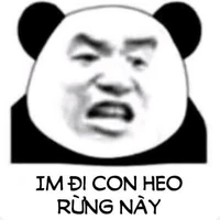 User11