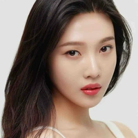 Park Soo -young ( Joy ) 