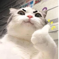 Cân tất mọi nhân vật