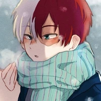 Todoroki Shouto