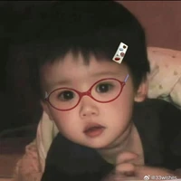 gấu lùn