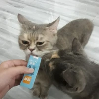 亗ㅤ🅔🅑🅔_🅨🅤🅡🅘ㅤㅤㅤ亗