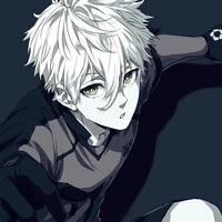 nagi seishiro