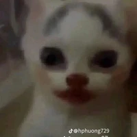 nv phụ/nv bí ẩn