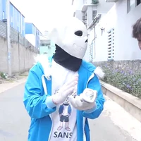 sans