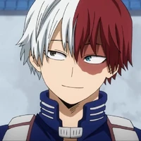 shoto todokori