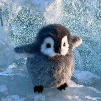 Author : Tiểu Táo Mật