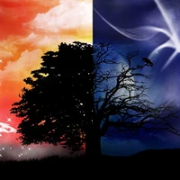 Sự sống và cái chết