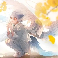 Hima