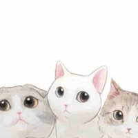 Diễn viên quần chúng