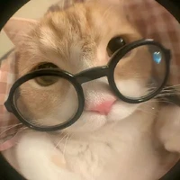 Tác giả xin đẹppp