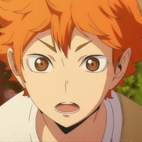 Hinata Shouyou [Karasuno]