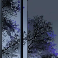 Mầm non tương lai C-1