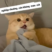 hệ thống 0104 (sun)