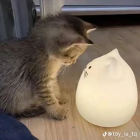 _My_