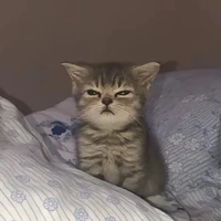 _Ca_