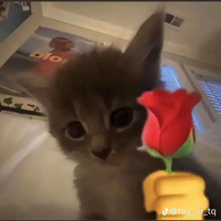 _Maiy cute🌹_