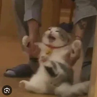 _hệ thống 009_