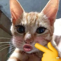Nhỏ Tác Giả
