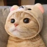 Tôi