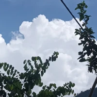 NV phụ
