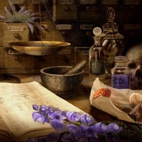 Mẫn Mẫn và Miêu Miêu