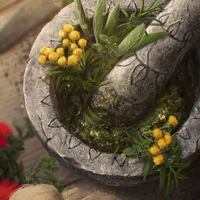 All (từ ai thì từ)