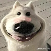 ᰔᩚẾch chết đuốiᥫᩣ