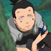 Shikamaru Natra