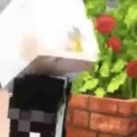 zero