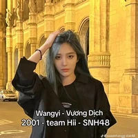 vương dịch