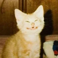 thiểu năng giai đoạn cuối :")