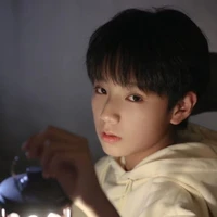 Vương Lỗ Kiệt
