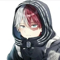 Todoroki shoto