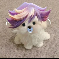 paozi